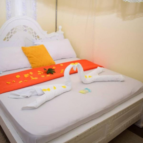 Top comfort jkia